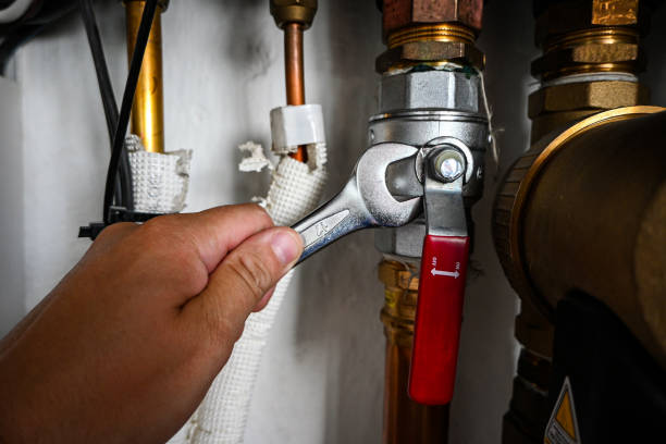 Best Commercial Plumbing Services  in Trenton, MI